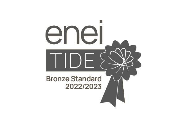 enei TIDE Bronze Award