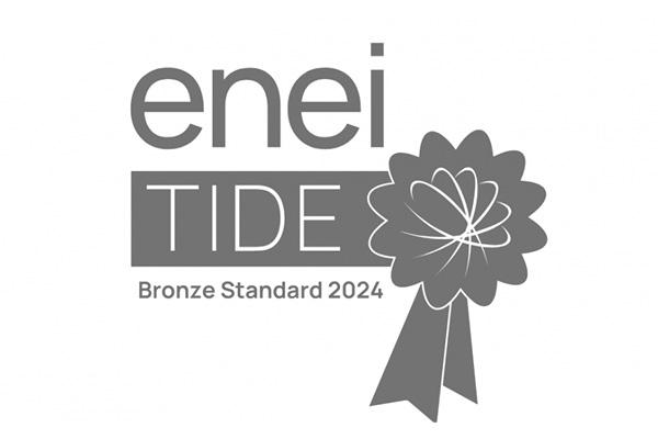 enei TIDE Bronze Award