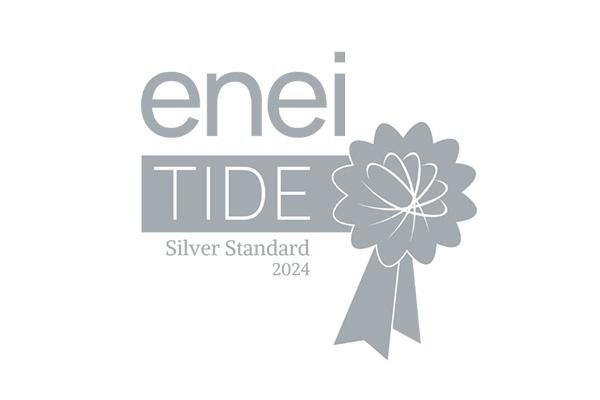 enei TIDE Silver Standard 2023