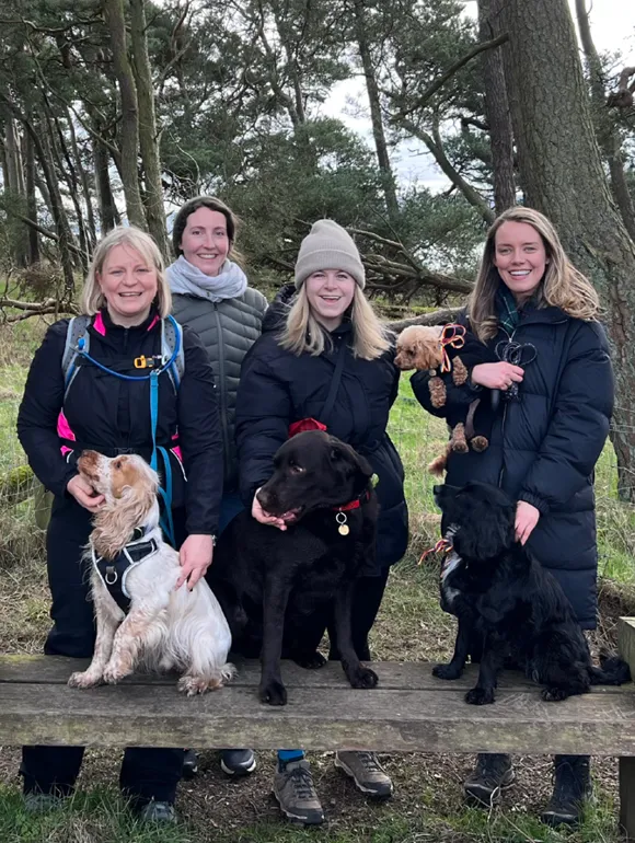 Group on a walk with dogs