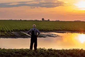 Rural landowner looking out into flooded field