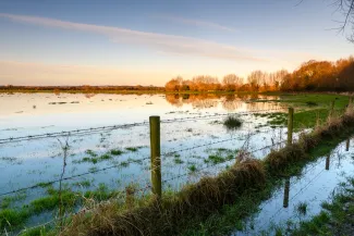 Flooded field at sunrise