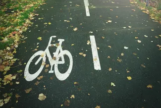 Bicycle lane in a park