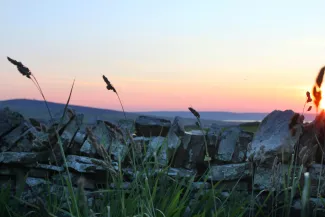Sunset over stone wall in a field
