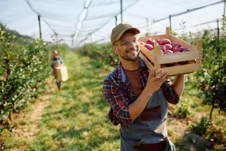 Fruit pickers on farm working in orchard