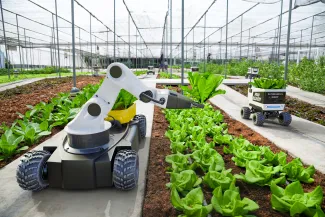 Agriculture robotic and autonomous car working in smart farm, Future 5G technology with smart agriculture farming concept