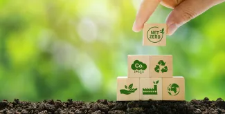Net zero graphic