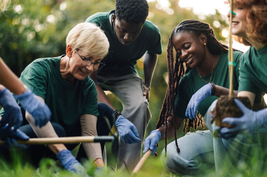 Group of volunteers planting tree
