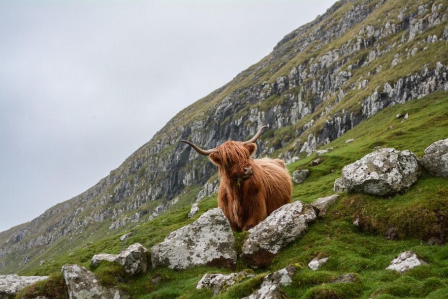 Webinar: Resolving rural disputes - Ransom strips in rural land development (Part 1)