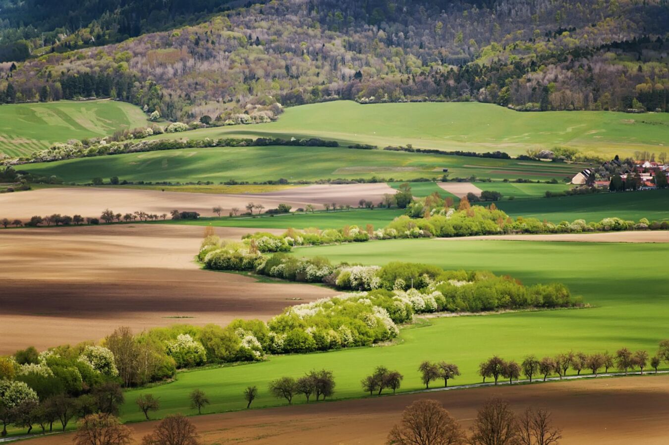 Webinar - Resolving rural disputes: the practicalities of serving notices