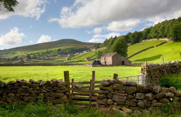 Acquiring ownership to land by possession: is possession really nine-tenths of the law?