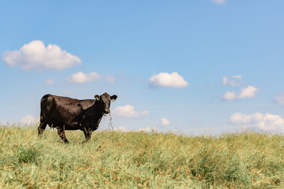 Land Court rules in favour of tenant in agricultural improvement case