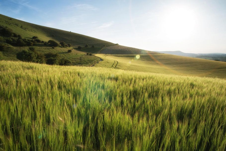 Acquiring rights of way by the passage of time