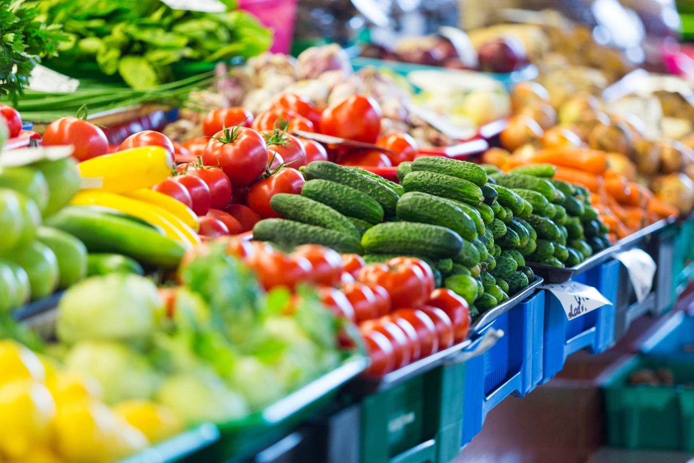 Sustainability – A vital food ingredient