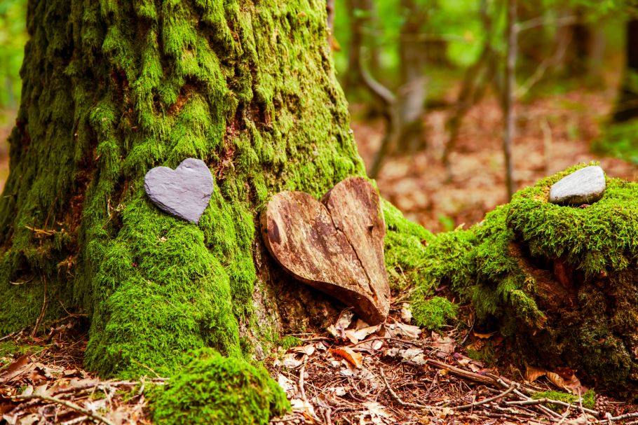 Green burials. The most environmentally friendly option – until it isn’t.
