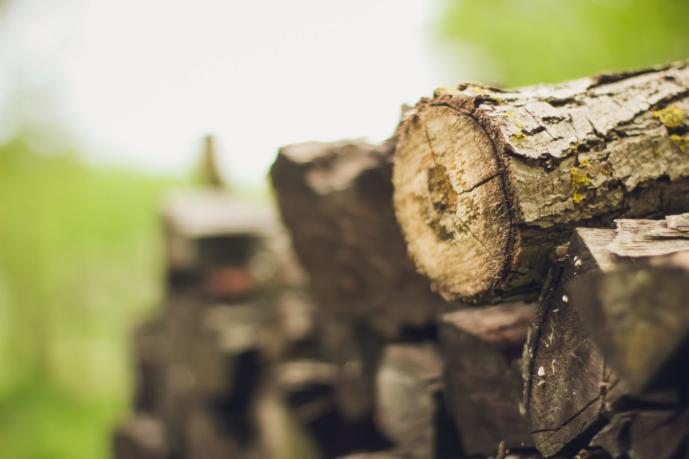 Forestry Solicitors