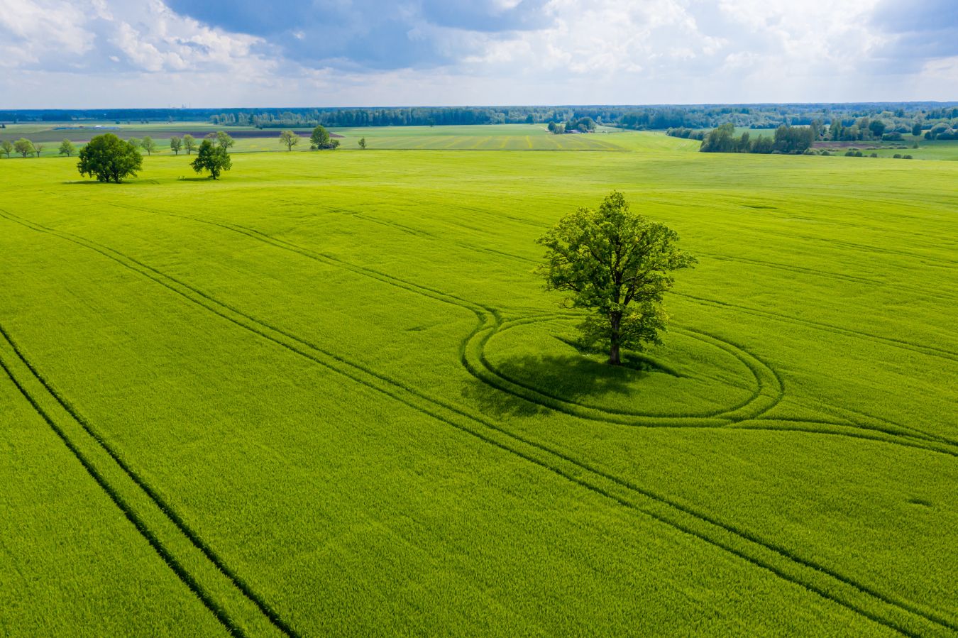 Rural Succession Planning Solicitors