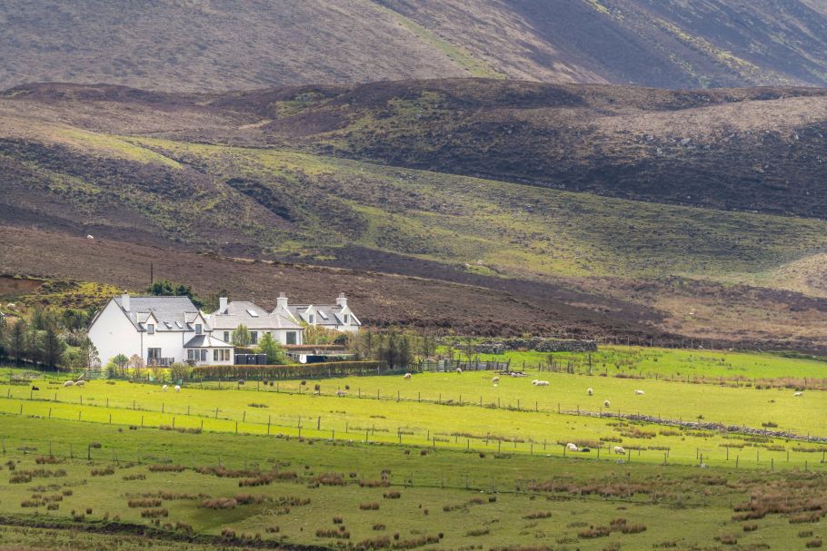 Balancing agricultural and sporting interests: Proposed reform to Scottish agricultural tenancy law
