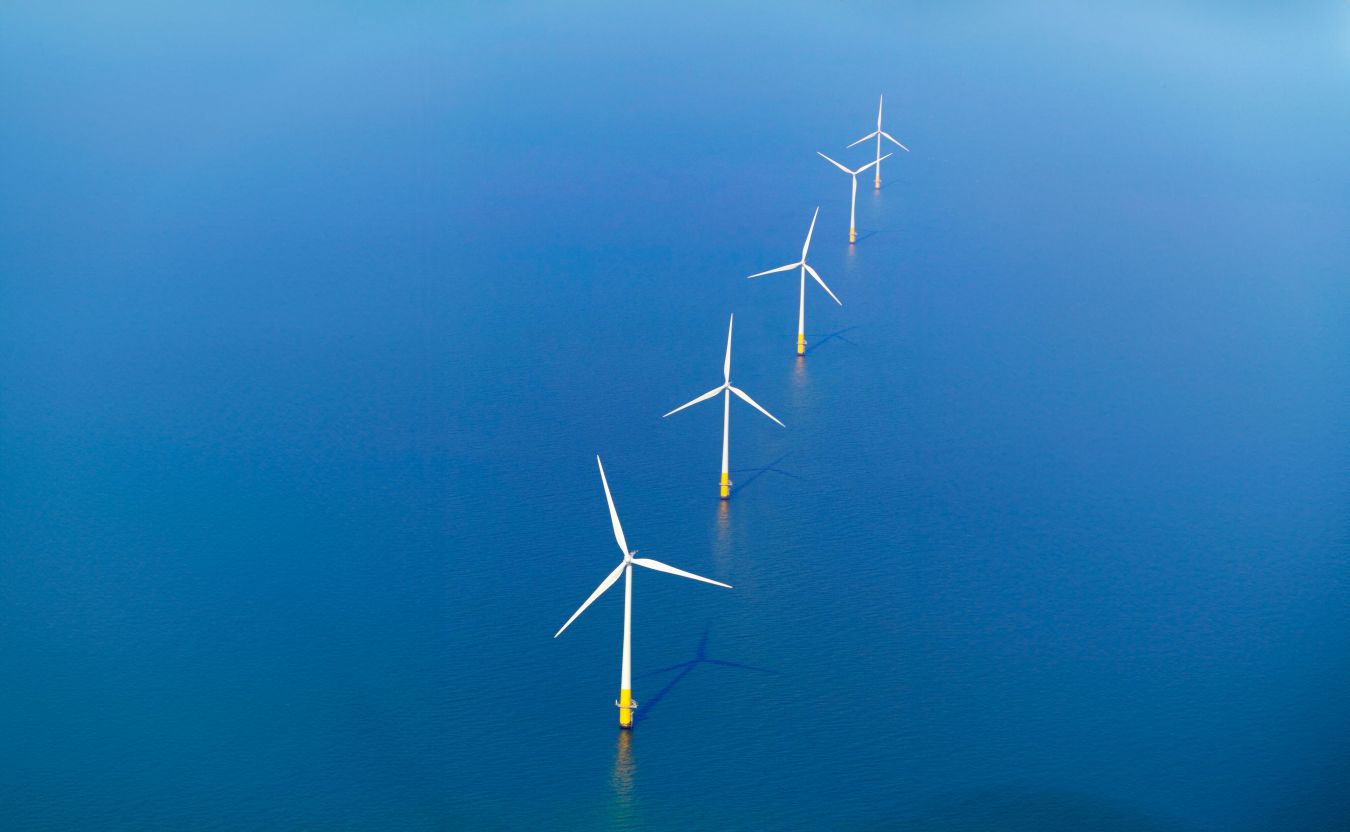 A win-win: the success of the Marine Recovery Fund is critical for offshore wind and biodiversity