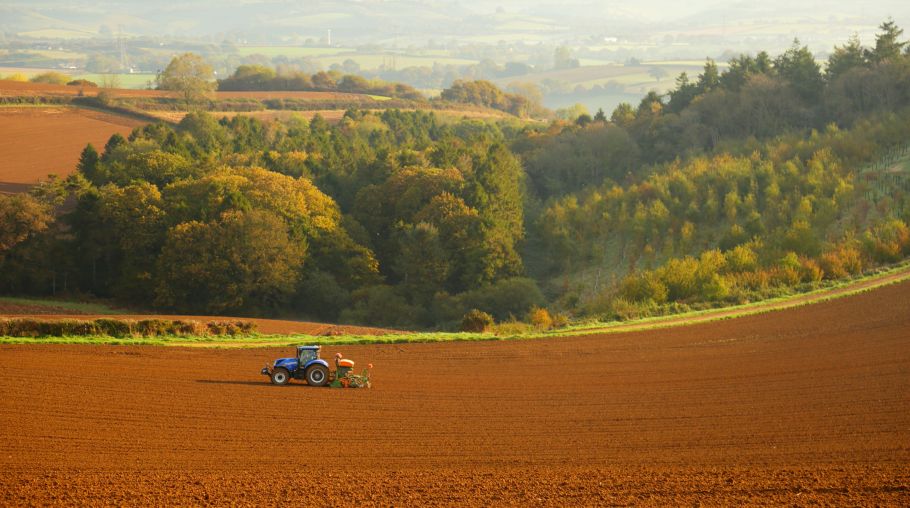 The emerging role of vertical farming in food security
