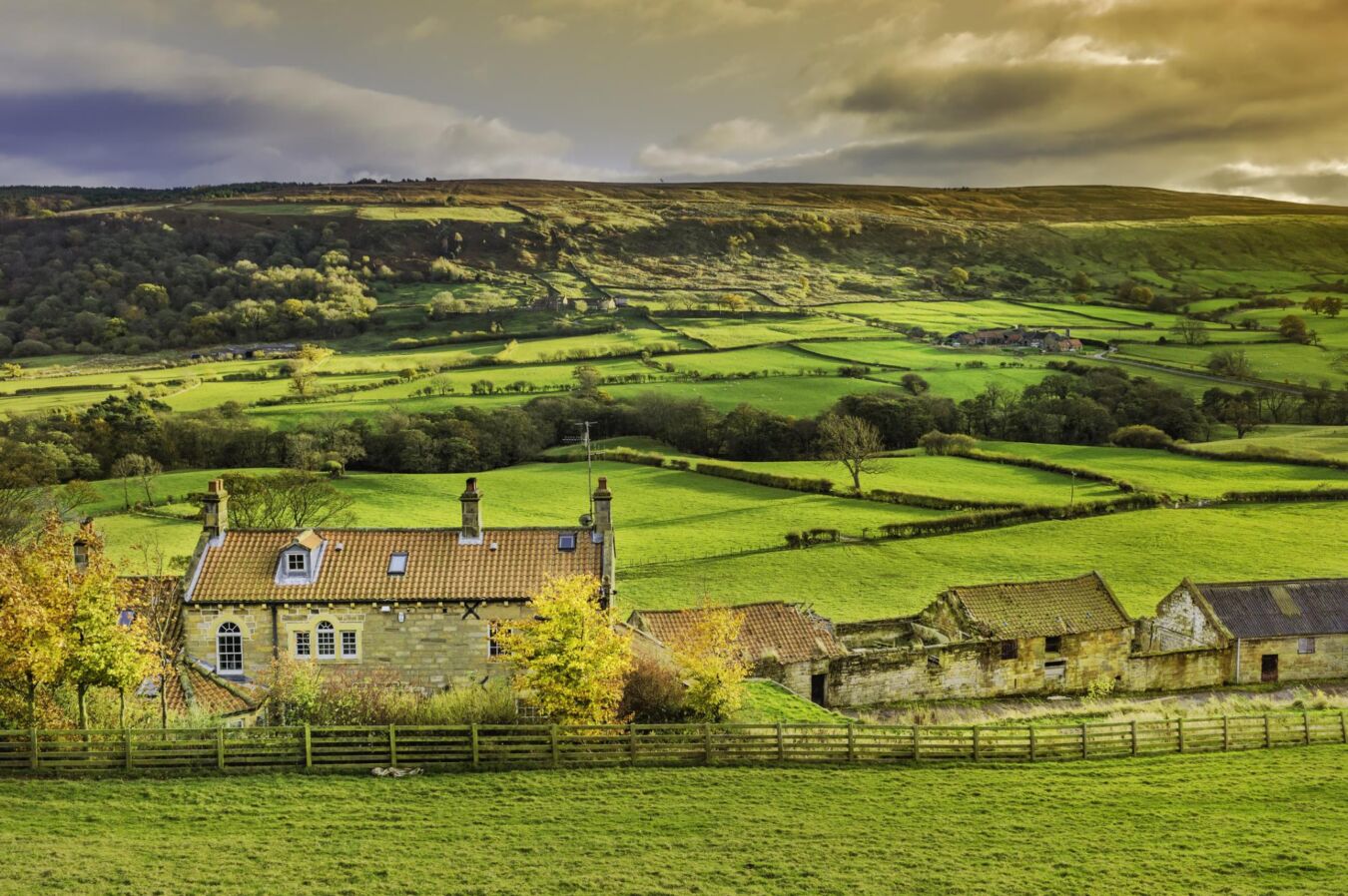 Resolving Rural Disputes webinar: encroachment and remedies