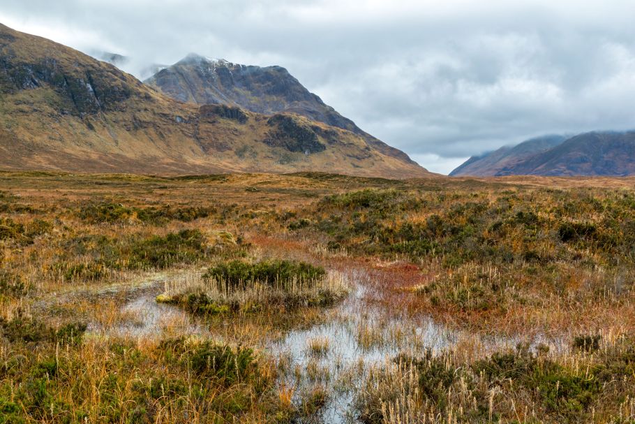 Natural Capital and ESG in the Rural Market