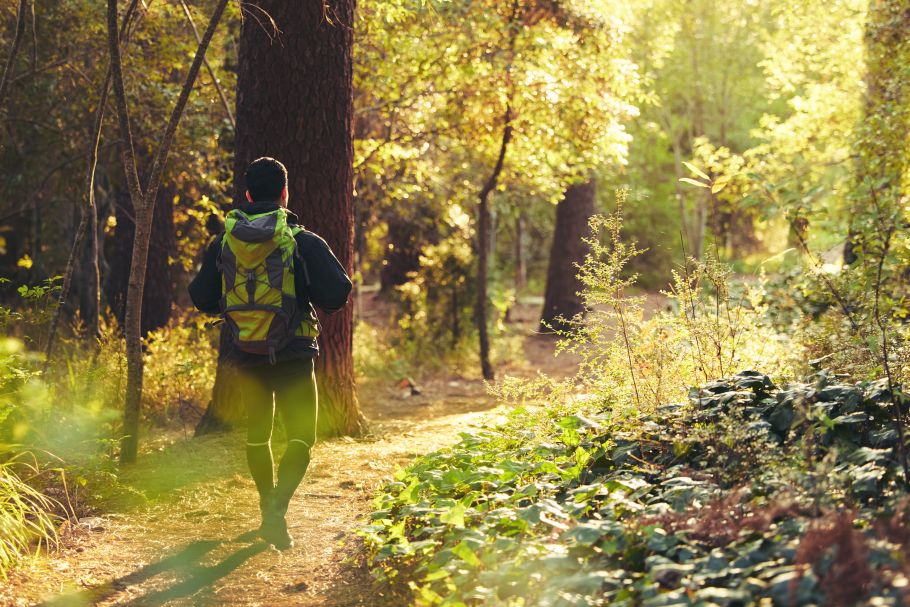 Wild Camping ruled to be within the definition of “open-air recreation” in landmark Dartmoor Commons case for the right to roam in England