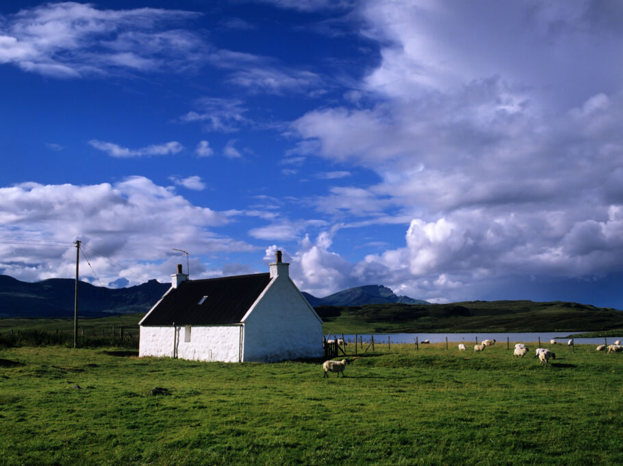 The necessary steps: How to validate a delayed transfer of croft tenancies