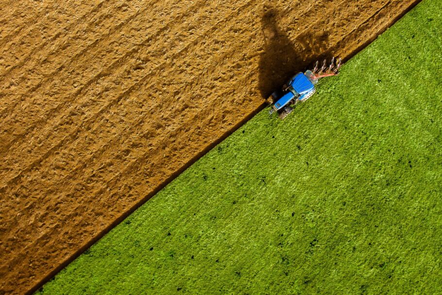 Resolving rural disputes: watch webinars on nuisance, succession to agricultural tenancies and crofting law