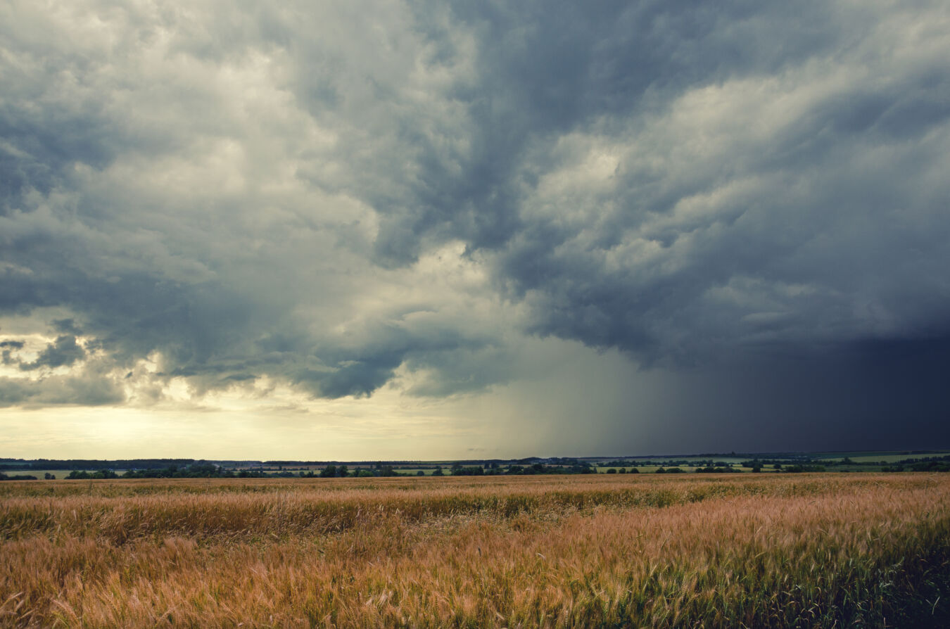Stormy days in the rural sector