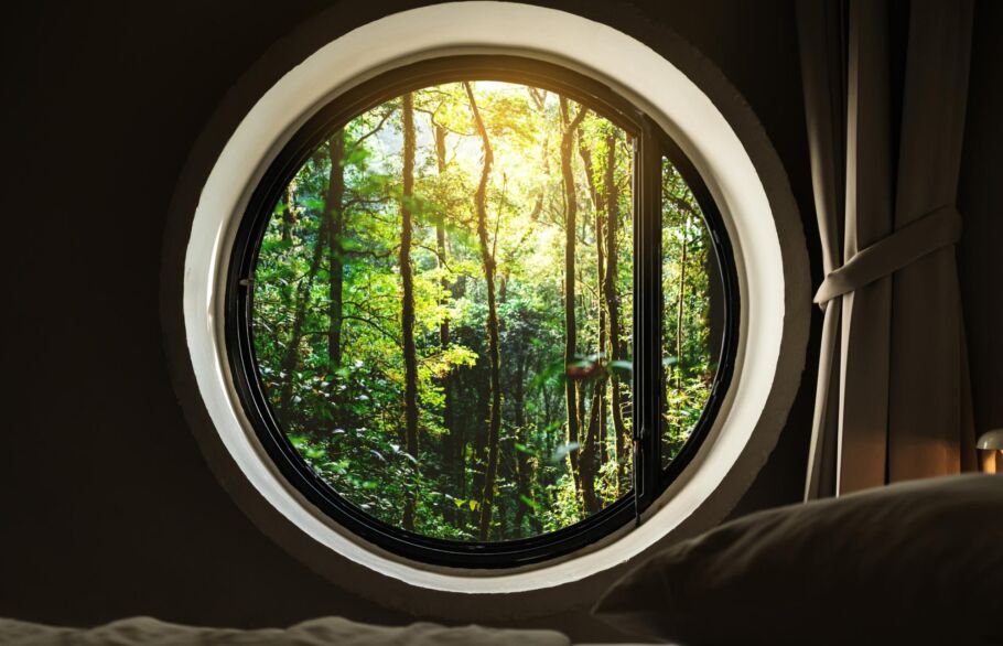 The future of biodiversity – banking on it