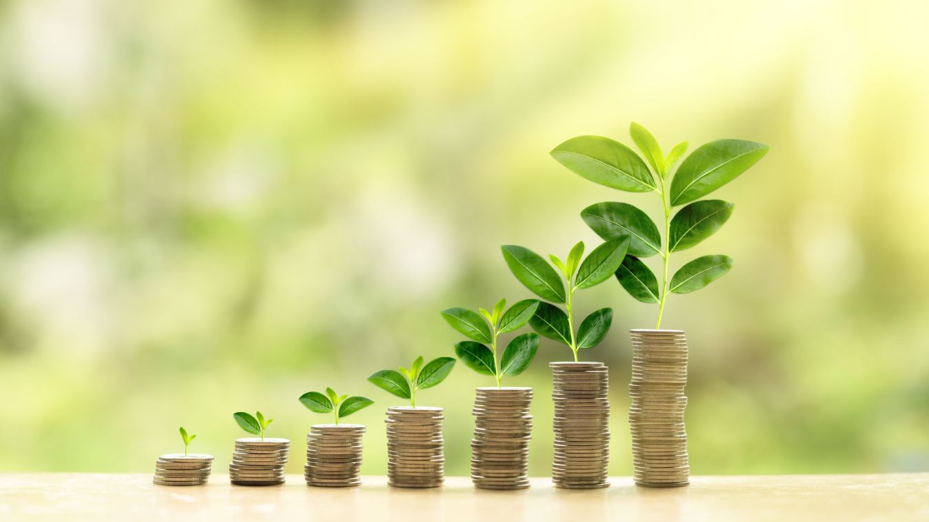 ESG and Environmental Concerns in Pensions: A Growing Priority