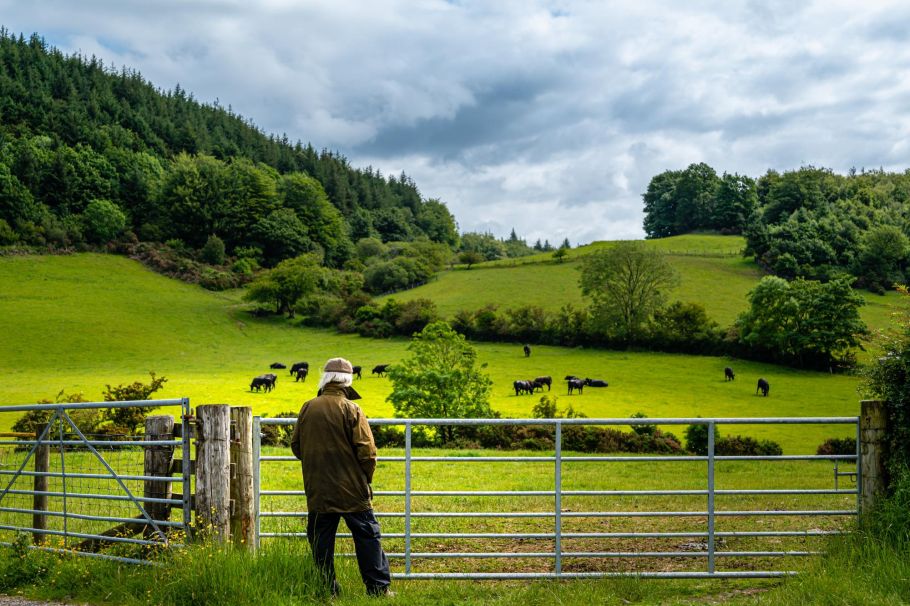 Managing health and safety risks in the agricultural sector