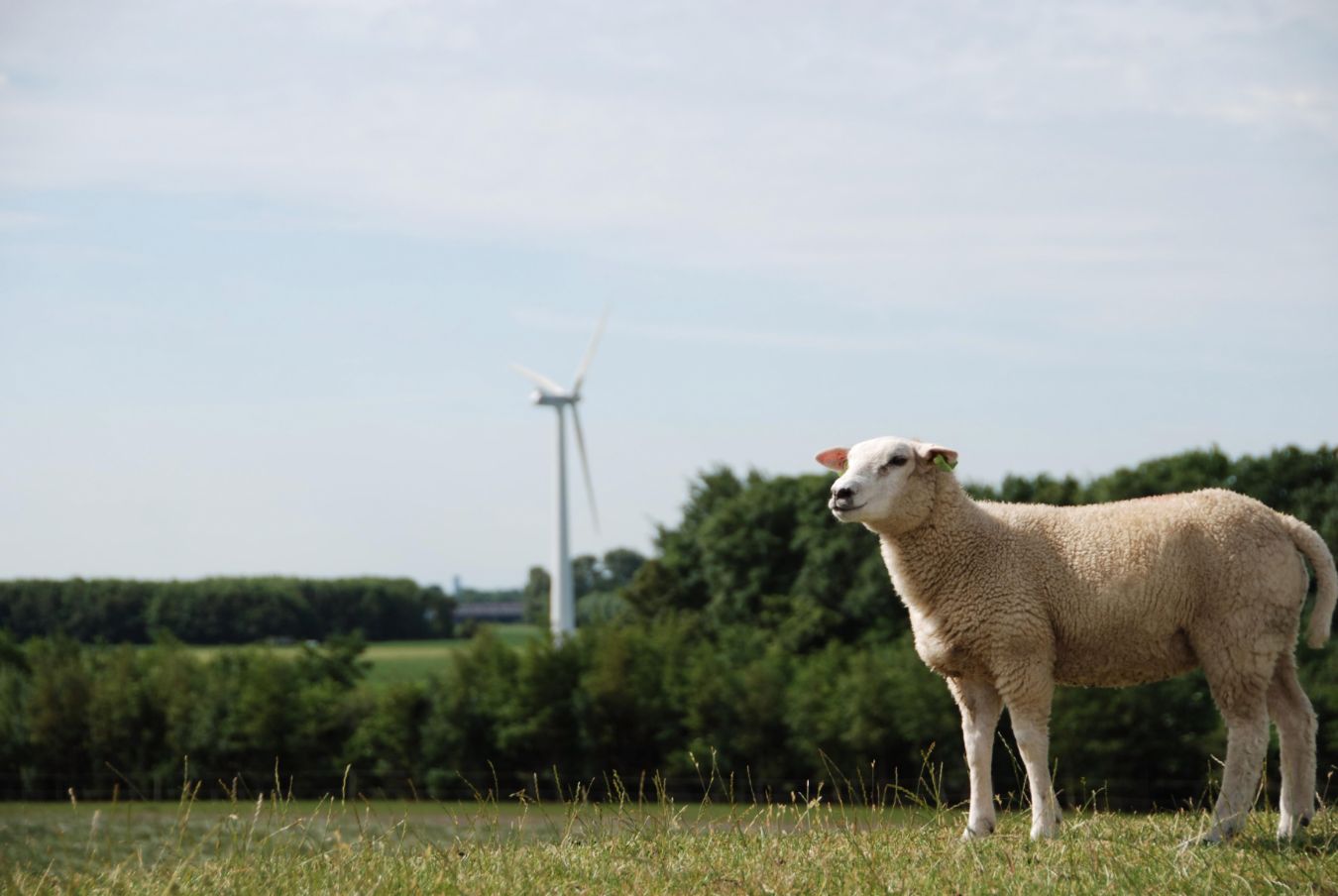 Utilising Scotland’s Crofting Counties to achieve our renewable energy targets