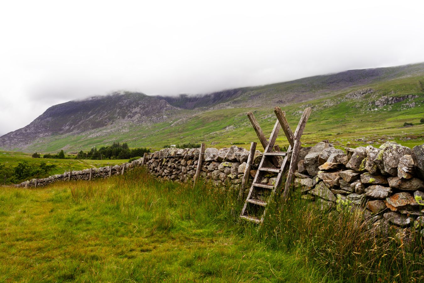 Land Reform (Scotland) Bill 2024: What Changes Are Coming For Community Right To Buy?