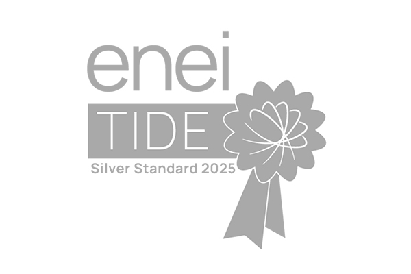 enei TIDE Silver Standard 2025