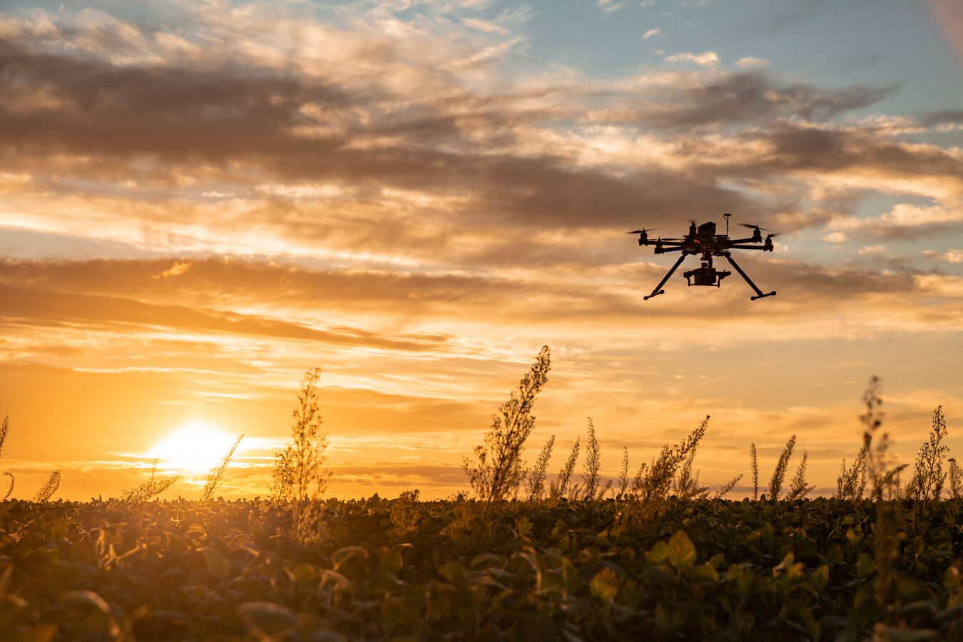 Drone flying over rural field crops