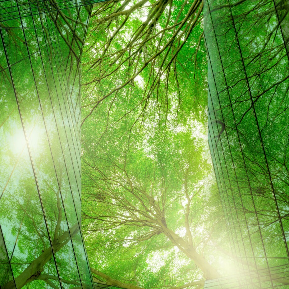 Forest reflected in building glass