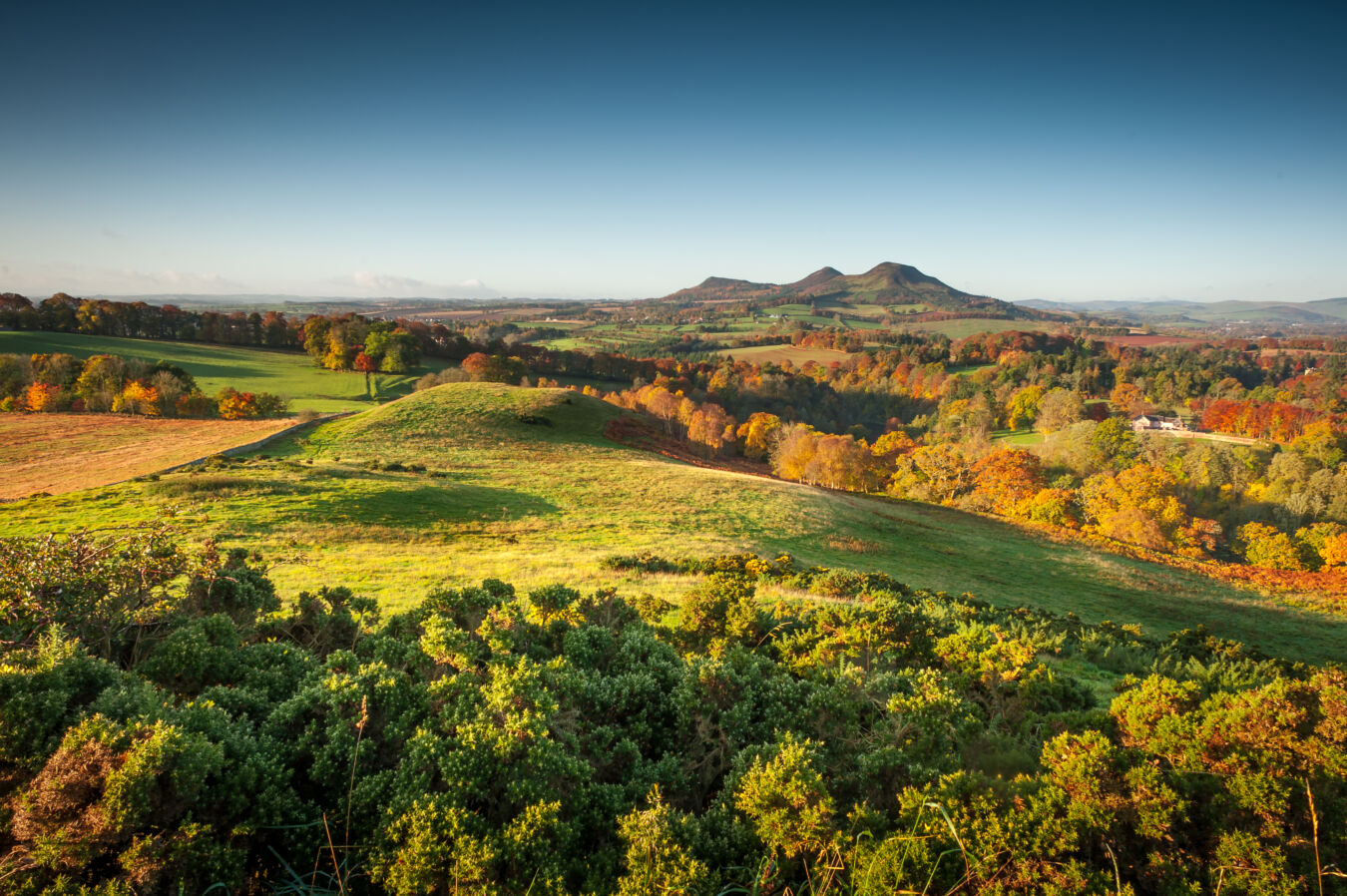 Scottish borders countryside
