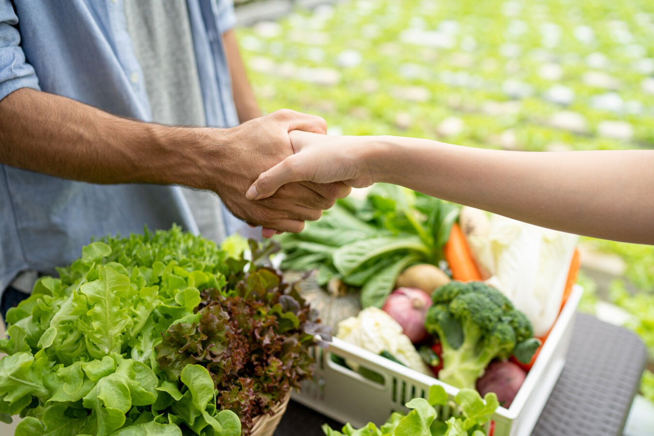 Handshake over box of produce