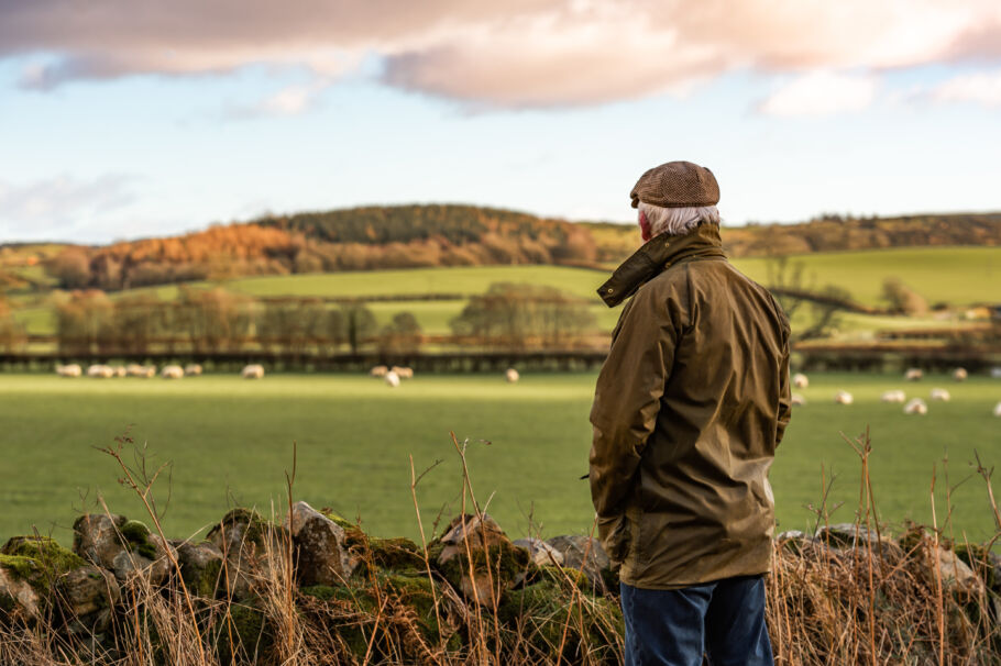 Farmer looking at a field