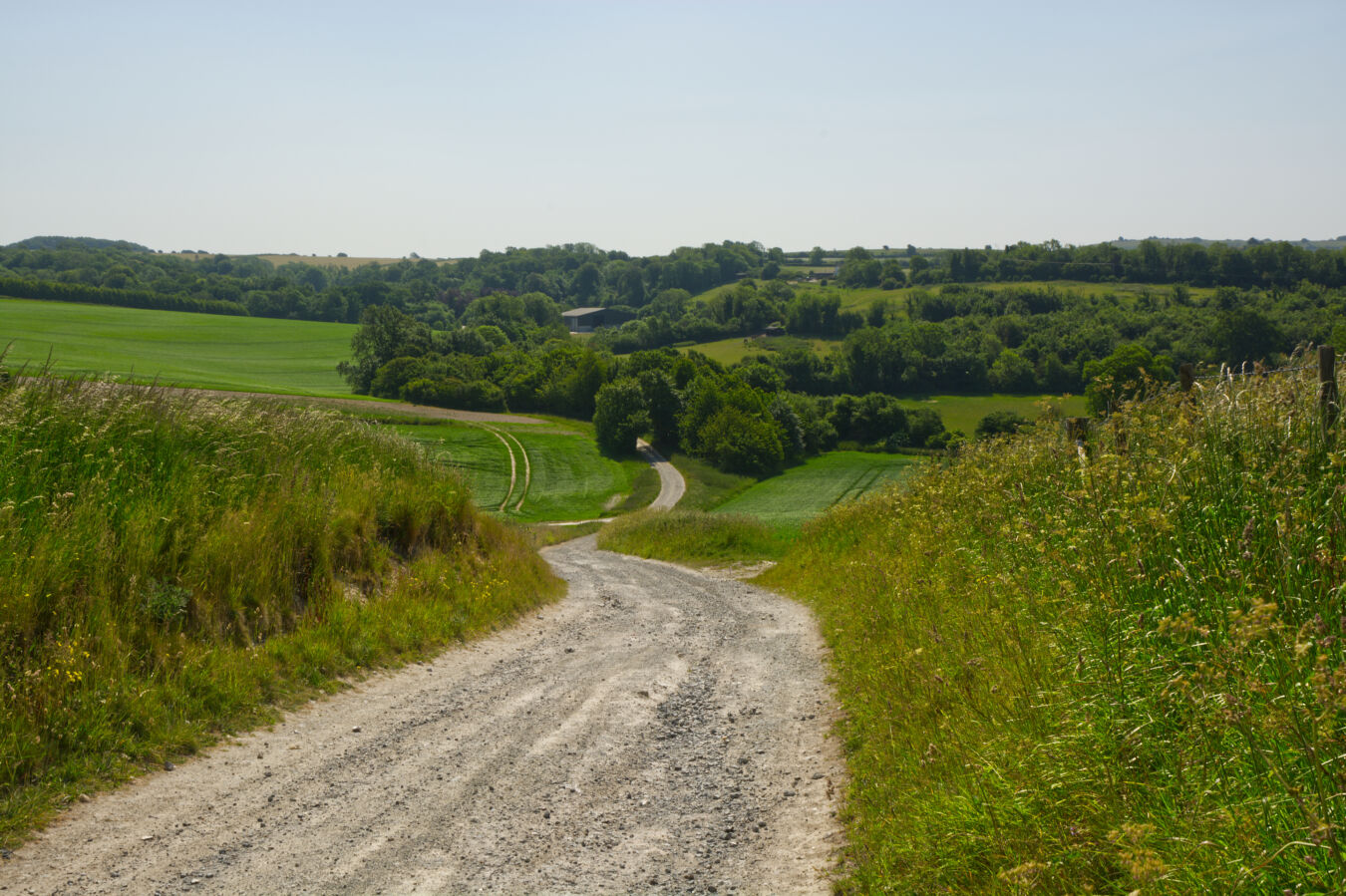 Path going through countryside