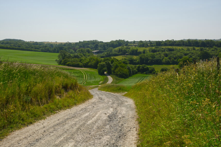 Path going through countryside