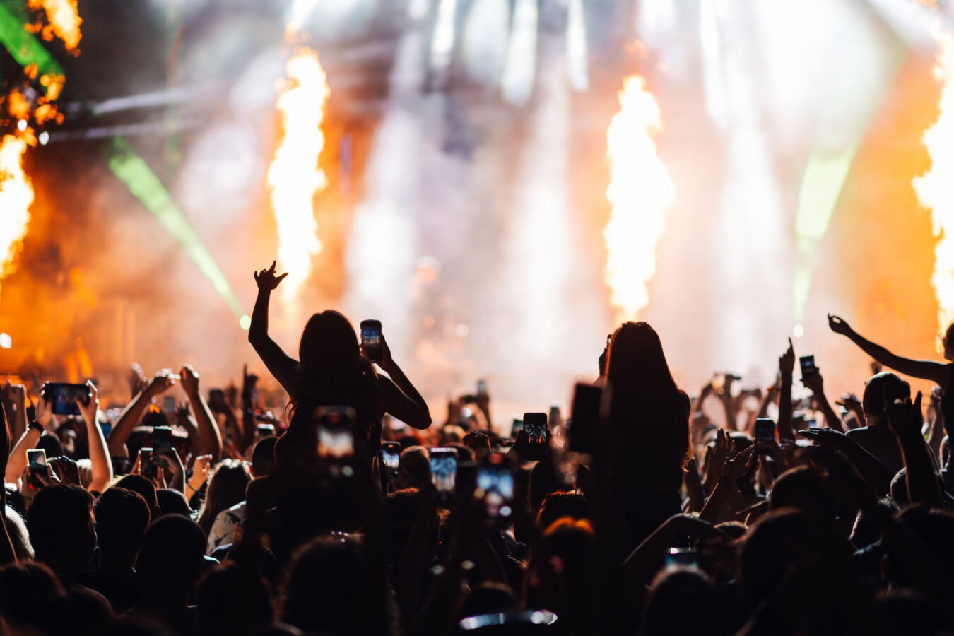 Crowd of fans at concert