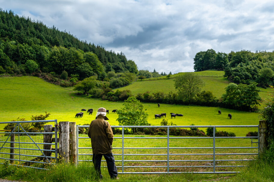 Old man on rural Scottish farm looking into paddock